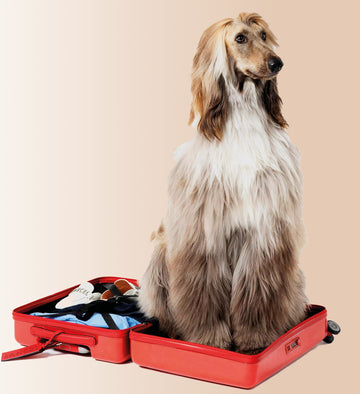 TRAVEL ACCESSORIES